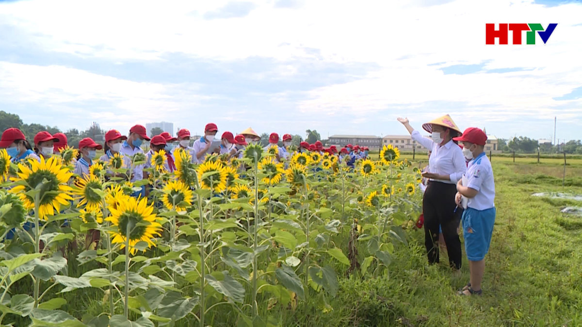 Tăng cường hoạt động trải nghiệm trong giáo dục