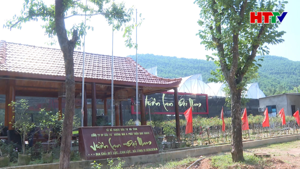 Khi người trẻ chọn quê hương để lập nghiệp