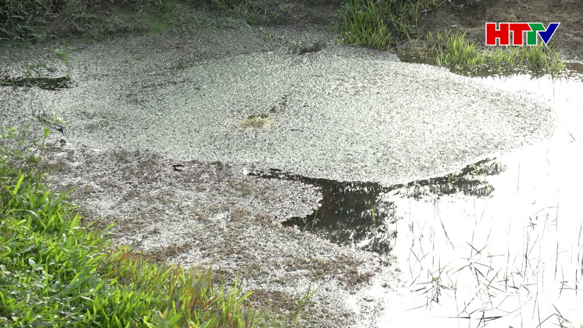 Thuốc bảo vệ thực vật tồn lưu - nguy cơ và thách thức