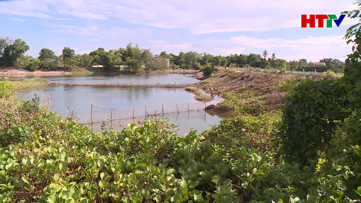 Môi trường biến động – Vụ nuôi tôm thất bát