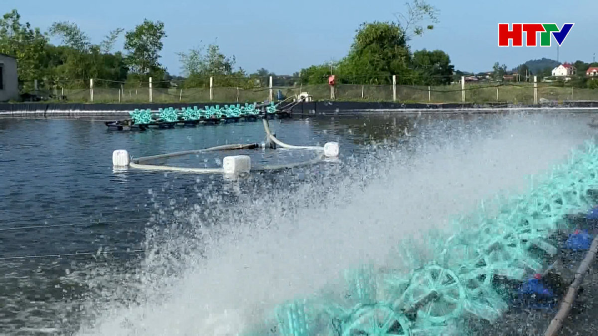 Nông dân Hà Tĩnh cải tạo ao đầm đón vụ nuôi xuân hè