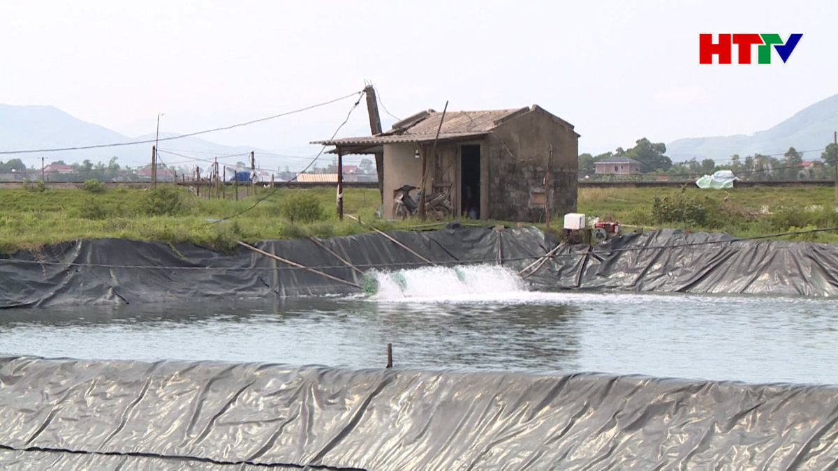 Nuôi tôm tự phát, hàng loạt hộ dân cố tình sai phạm