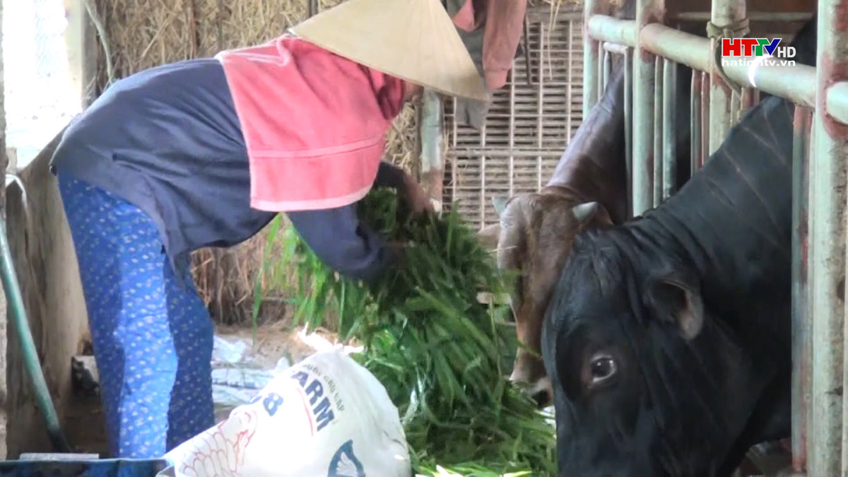 Tín dụng chính sách, hiệu quả từ điểm giao dịch xã