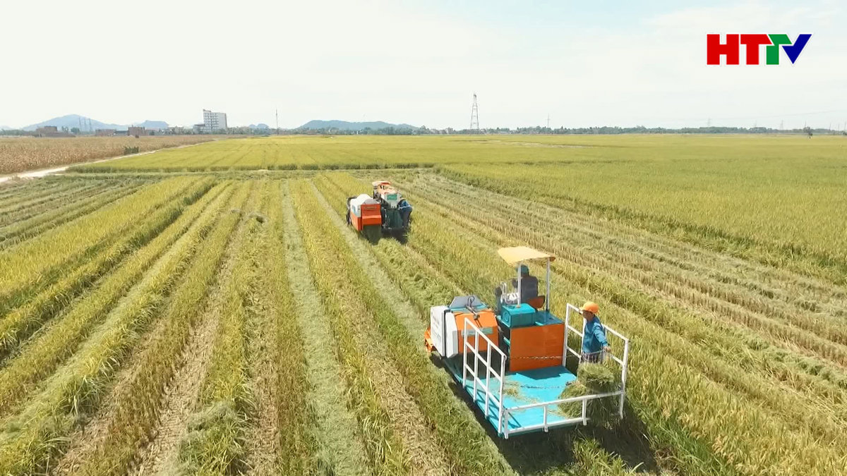 Hiệu quả từ nguồn vốn tín dụng theo Nghị định 78