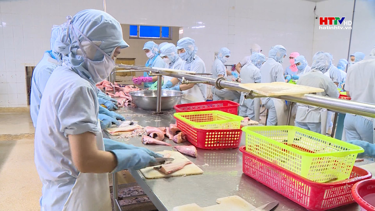 Đẩy mạnh phục hồi xuất khẩu thủy sản những tháng cuối năm