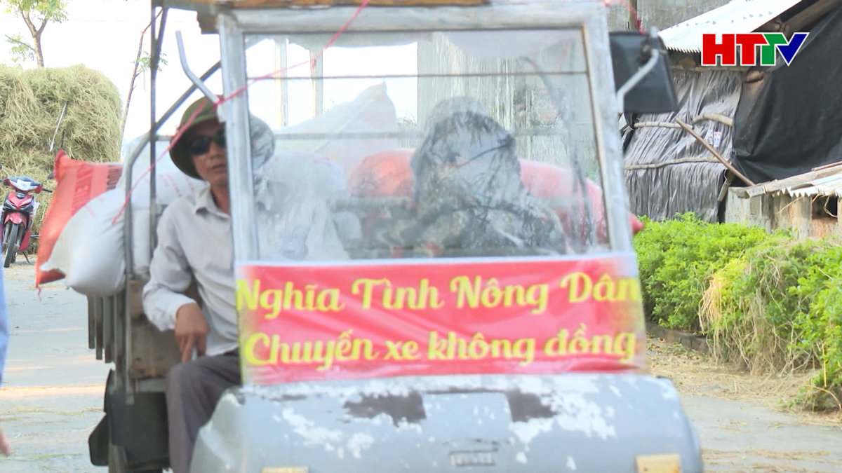 Ấn tượng những "chuyến xe 0 đồng” mùa lúa chín