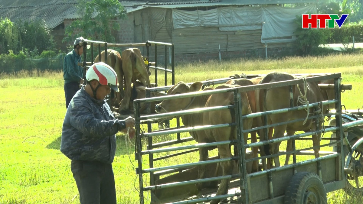 Hương Khê trao 9 mô hình sinh kế cho hộ nghèo