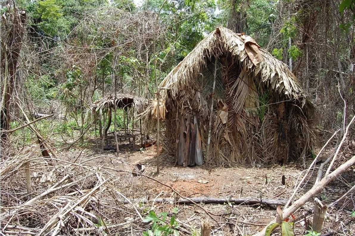 Bộ lạc biệt lập ở Brazil tuyệt chủng sau khi "người đàn ông cô độc nhất" qua đời