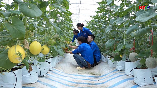 Cán bộ Đoàn xung kích, đi đầu trong các phong trào