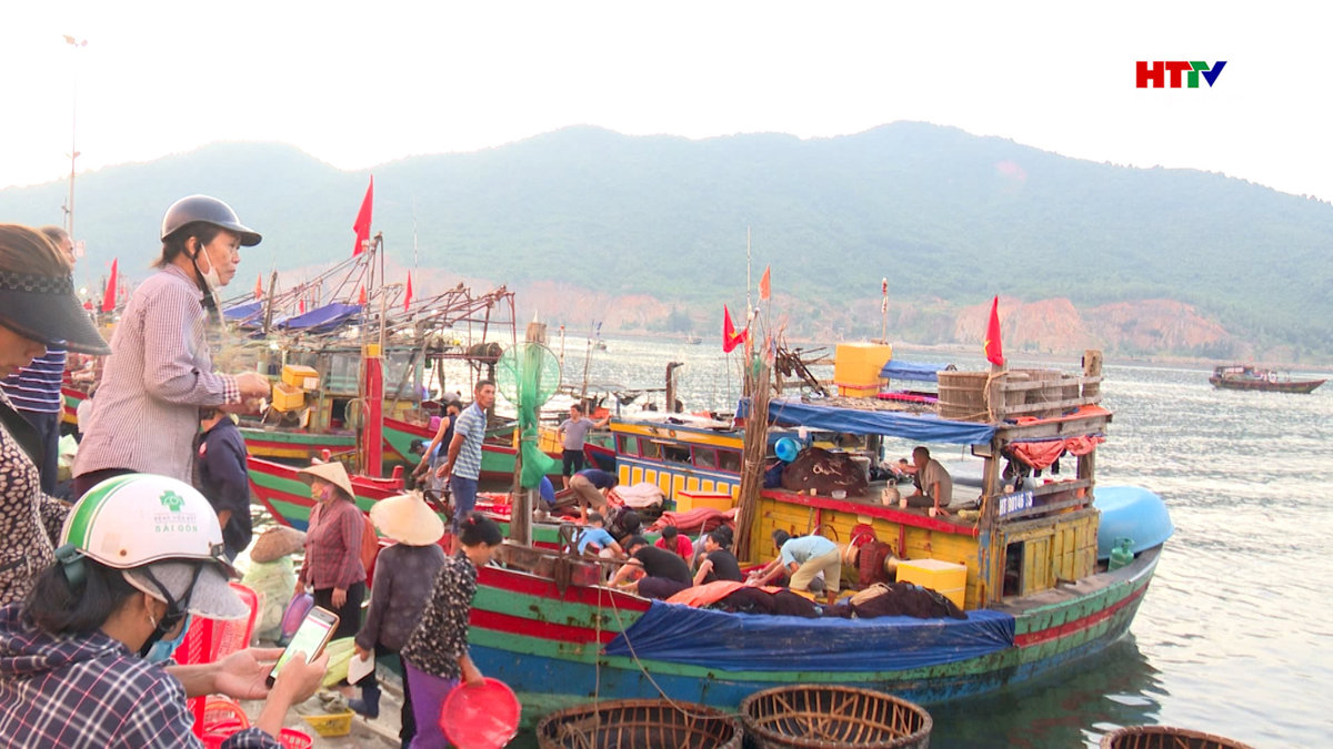 Trên 90% tàu cá có giấy phép khai thác thủy sản