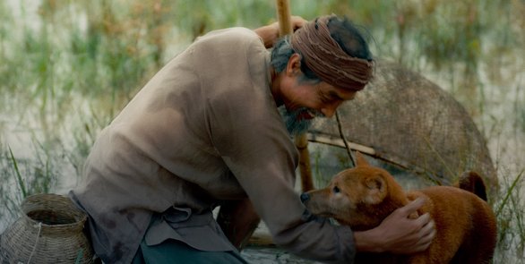 Đừng đẩy “Cậu Vàng” vào bi kịch...