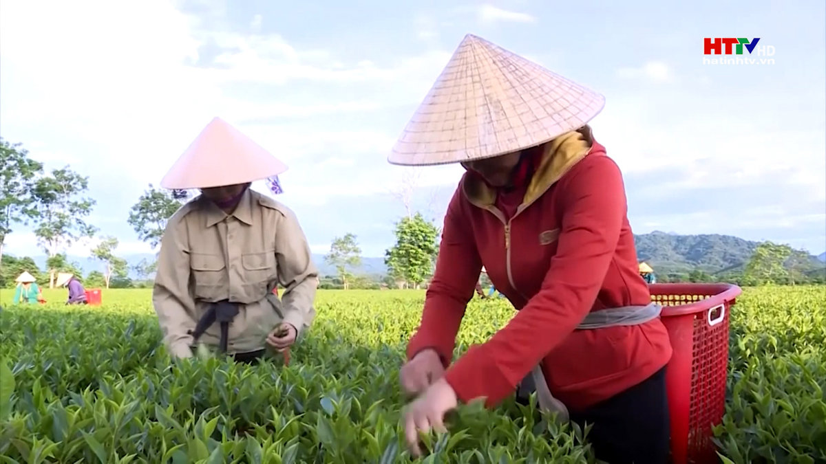 Hà Tĩnh, phấn đấu năm 2025 thu nhập bình quân đầu người đạt 60 triệu đồng