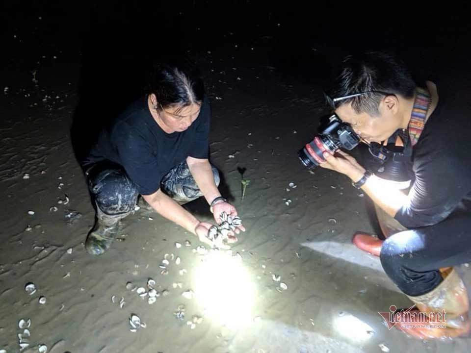 Chai lì cảm xúc và bức tử sáng tạo: Nguy cơ nghề báo