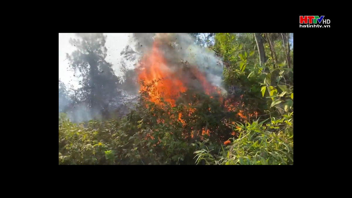 Hàng trăm người tham gia dập đám cháy rừng ở Lộc Hà