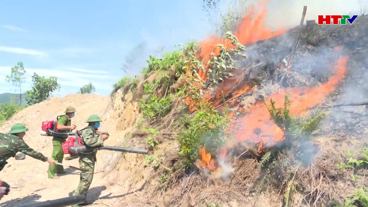 Xây dựng phương án phòng chống cháy rừng
