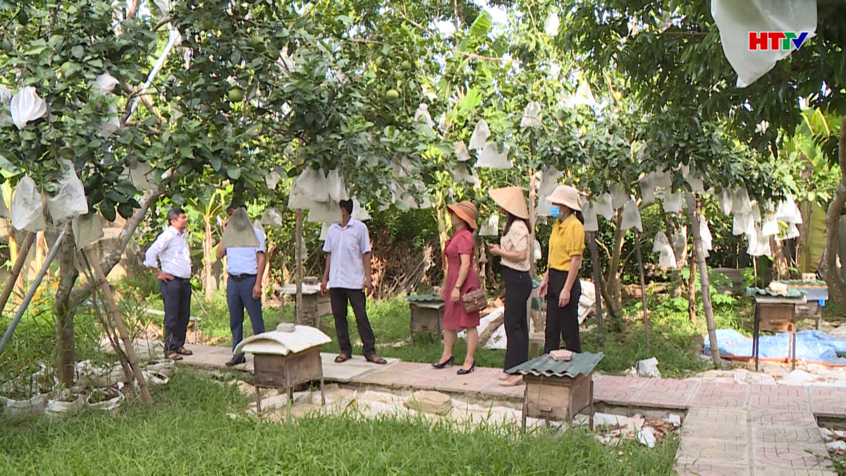 Cụm dân cư sinh thái ở huyện Vũ Quang