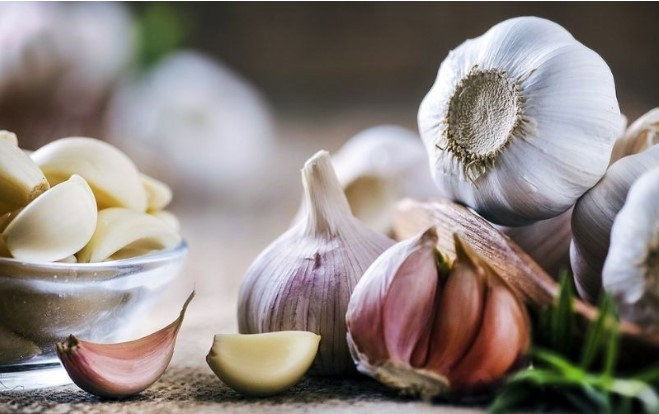 Nên chọn củ trắng hay màu tía?