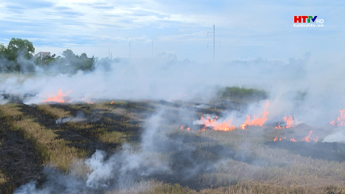 Đốt rơm rạ - một thói quen tệ hại