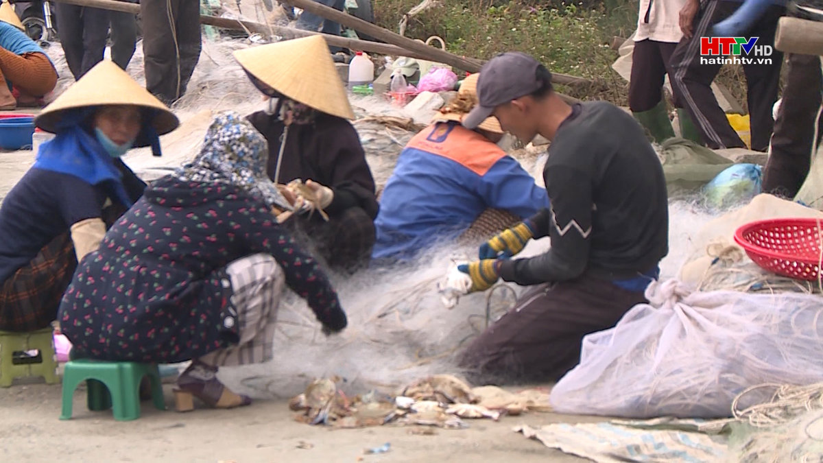 Ngư dân phấn khởi khi được mùa hải sản