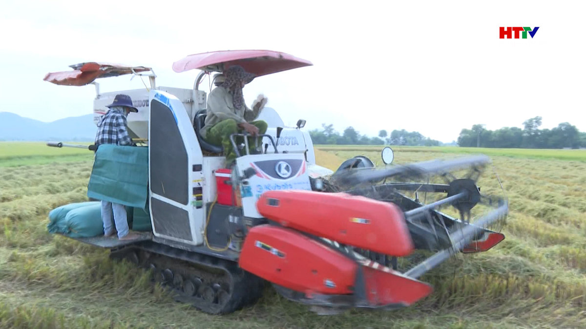 Hà Tĩnh cơ bản thu hoạch xong lúa hè thu