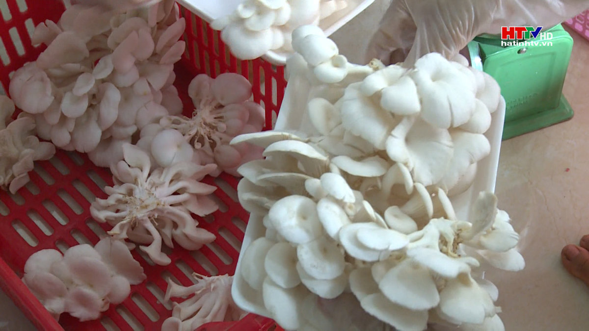 Miễn 100% thuế môn bài cho doanh nghiệp thành lập mới