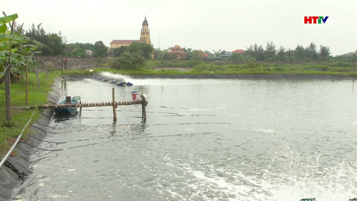 Triển khai mô hình nuôi cá chim vây vàng đạt tiêu chuẩn VietGAP
