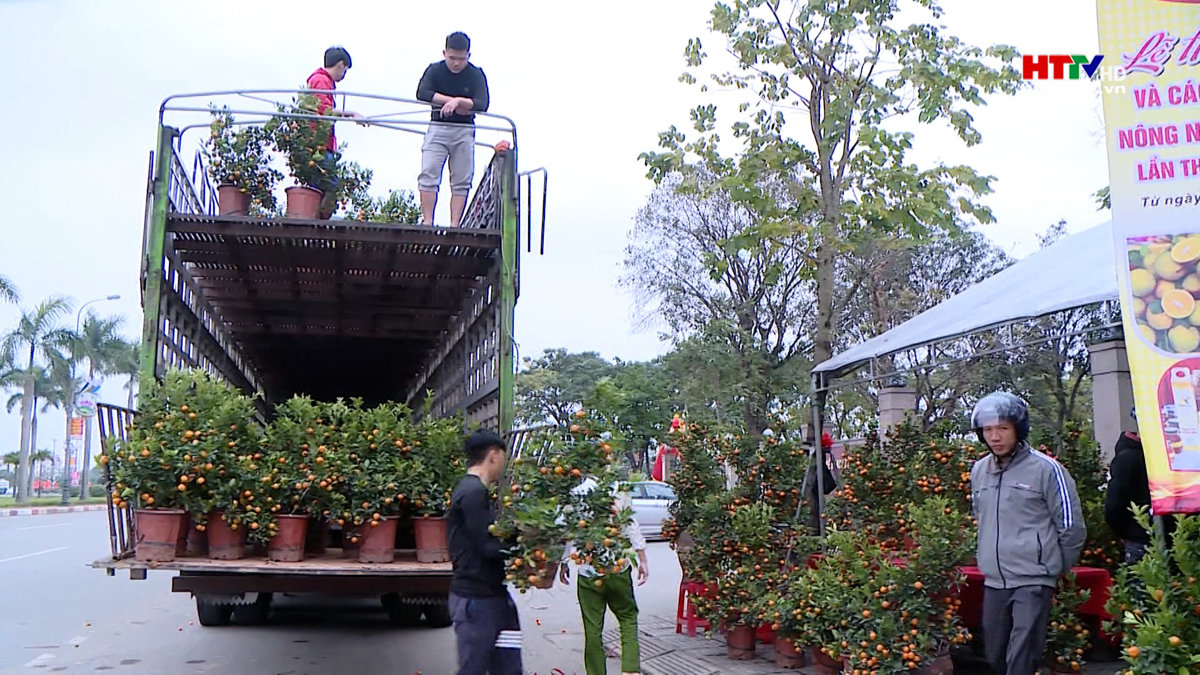 Thị trường cây cảnh, giá cả tăng nhẹ so với mọi năm.