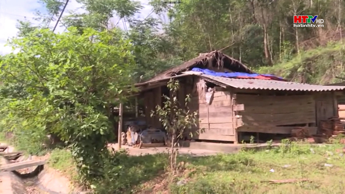 Hộ nghèo, hộ cận nghèo sẽ được hỗ trợ điện thoại thông minh