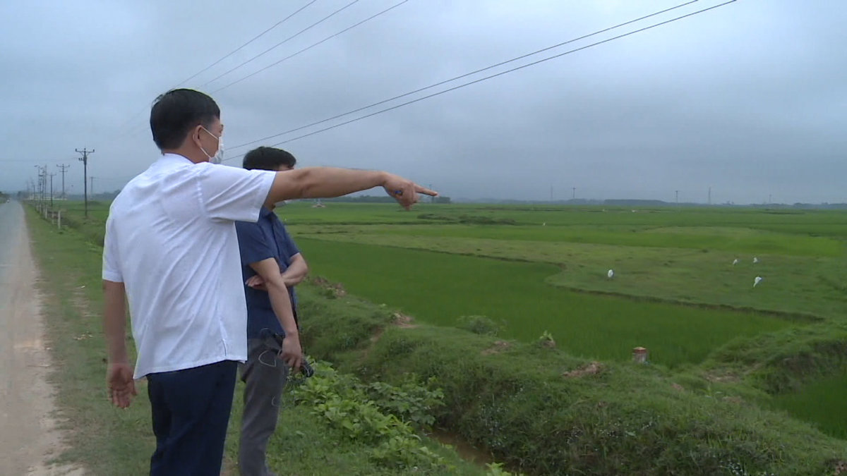 Bàn giao hồ sơ GPMB và cắm mốc thực địa dự án cao tốc Bắc – Nam được 62%