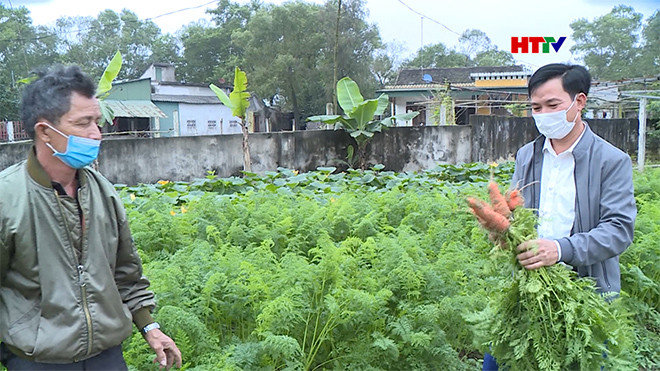 Thạch Hà: Hiệu quả mô hình trồng rau củ quả trên cát