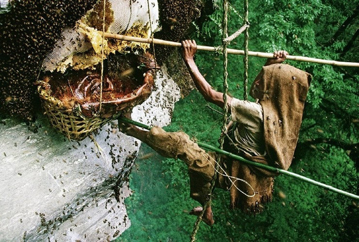 Loại mật ong chỉ có ở Thổ Nhĩ Kỳ, giá hơn 160 triệu đồng/kg