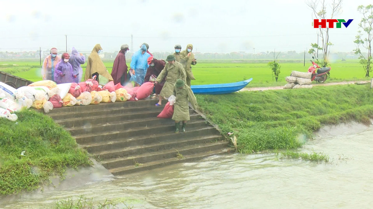 Thành phố Hà Tĩnh chung tay tái tạo nguồn lợi thủy sản