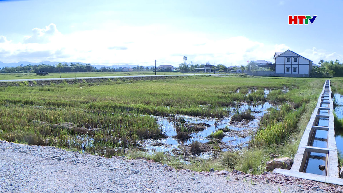 Bỏ cọc sau đấu giá bất động sản- Thiếu một chế tài