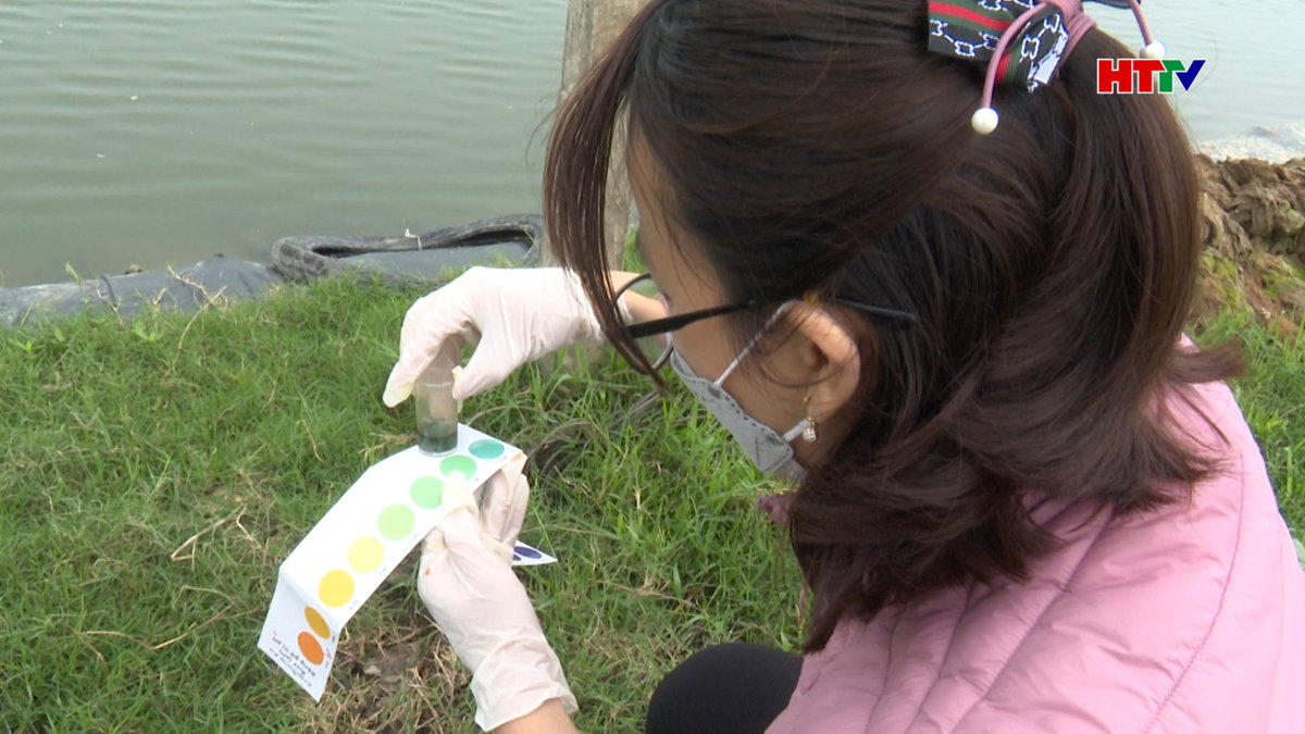 2/7 vùng nuôi tôm có nguồn cấp nước đảm bảo yêu cầu