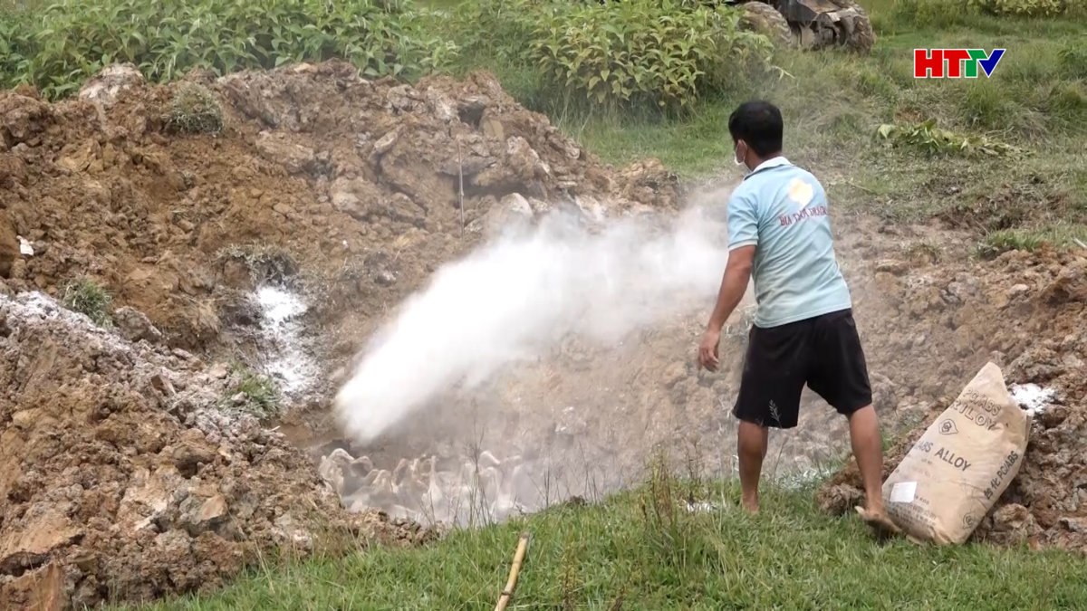 Đức Thọ: Tiêu hủy gần 1.700 con gia cầm mắc H5N1