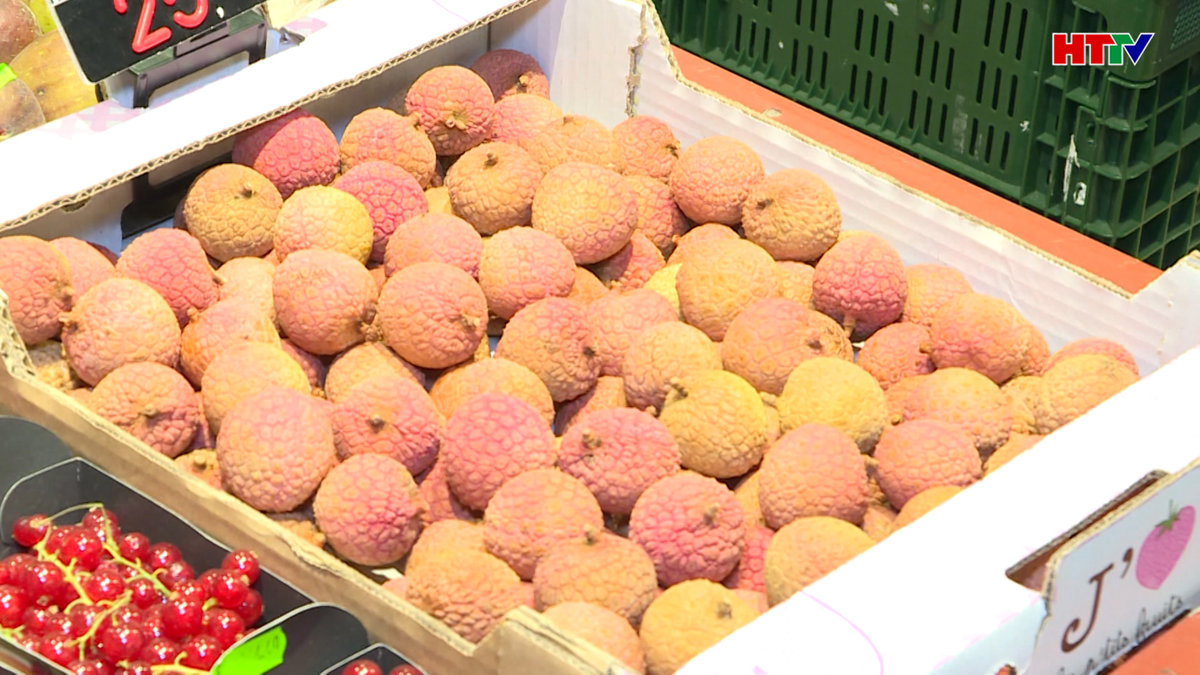 Vải thiều Việt Nam lần đầu đến Bỉ theo EVFTA