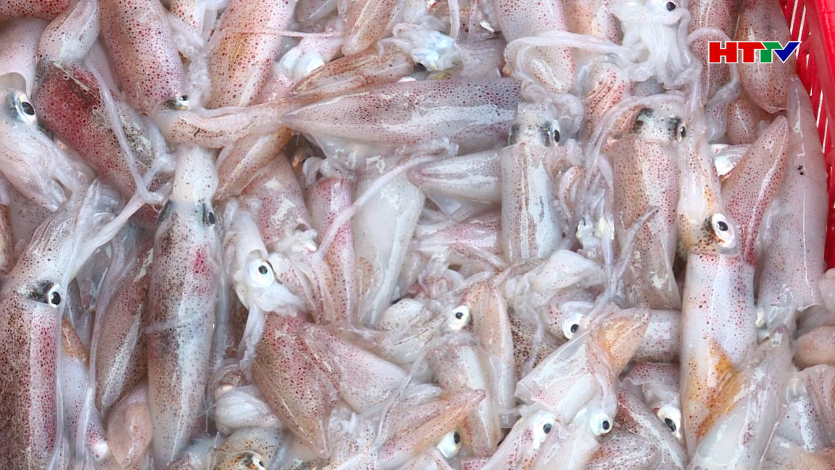 Những dấu hiệu khởi sắc trong vụ cá Nam