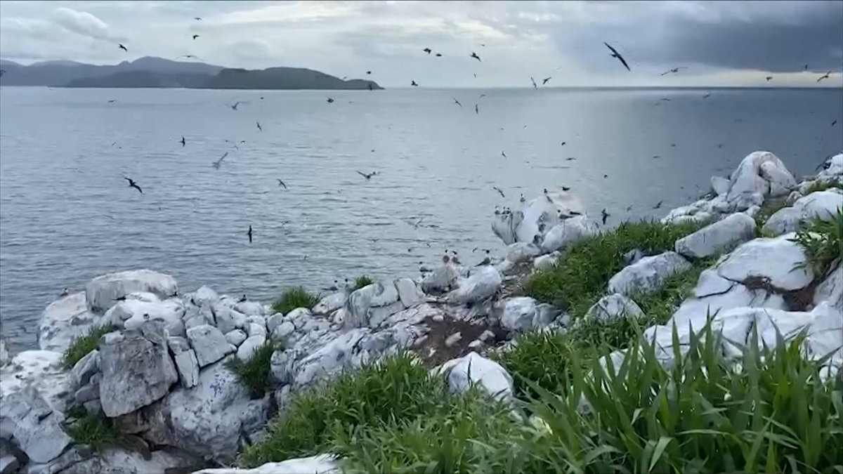 5 điểm đến của Việt Nam được xếp hàng đầu Đông Nam Á