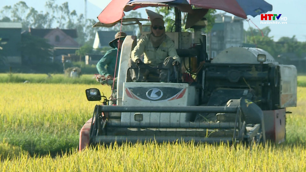 Ngăn chặn tình trạng máy gặt nâng giá, ép giá