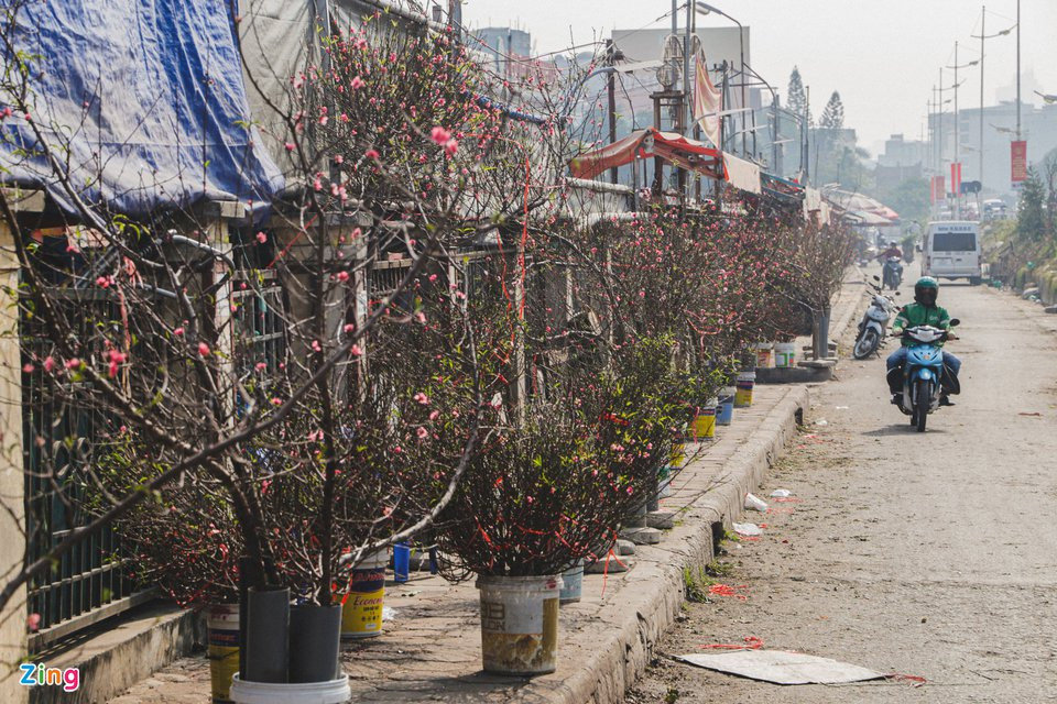 Nên bỏ hoạt động thăm hỏi, chúc Tết để hạn chế lây lan nCoV