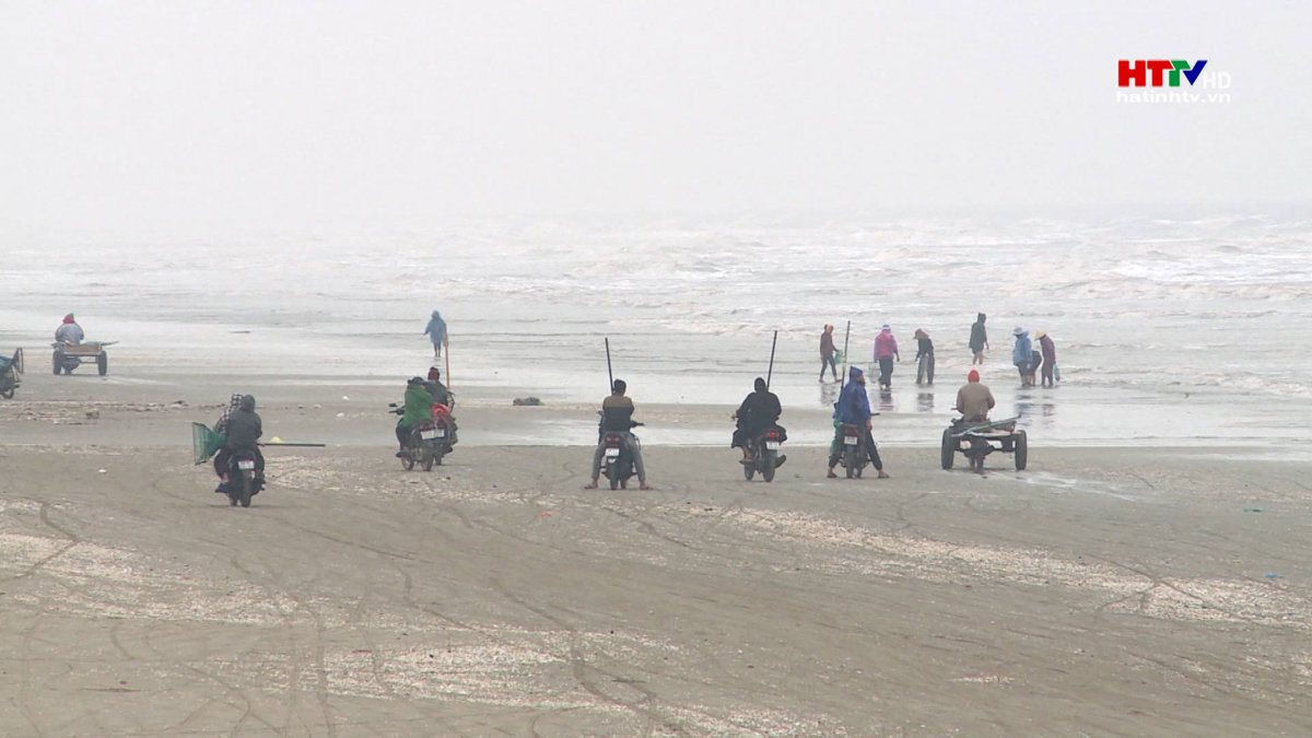 "Lộc biển" trong ngày đầu năm mới