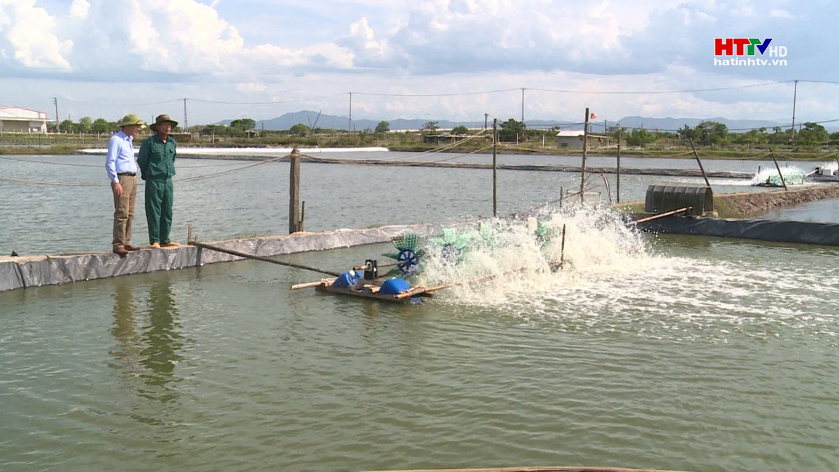 Người nuôi tôm ứng phó với giá thức ăn chăn nuôi