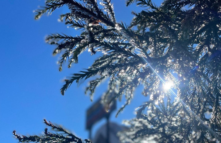 Nhiệt độ trên đỉnh Fansipan xuống thấp nhất trong năm