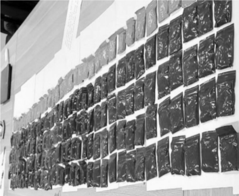 Những chuyến ma túy tiền tỷ trên xe “luồng xanh” về Hà Nội