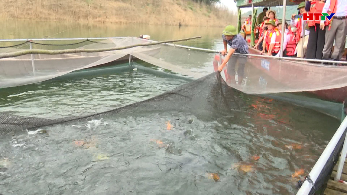 Giá trị sản xuất thủy sản nước ngọt đạt 274 tỷ đồng/năm