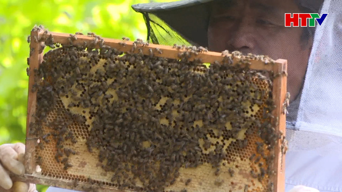 Ngọt ngào mùa mật ong