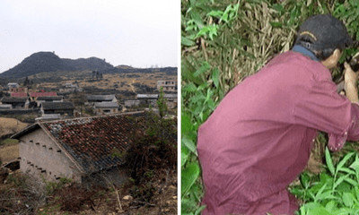 Phó Chủ tịch xã ở Hà Giang đi săn thú vô ý bắn chết người