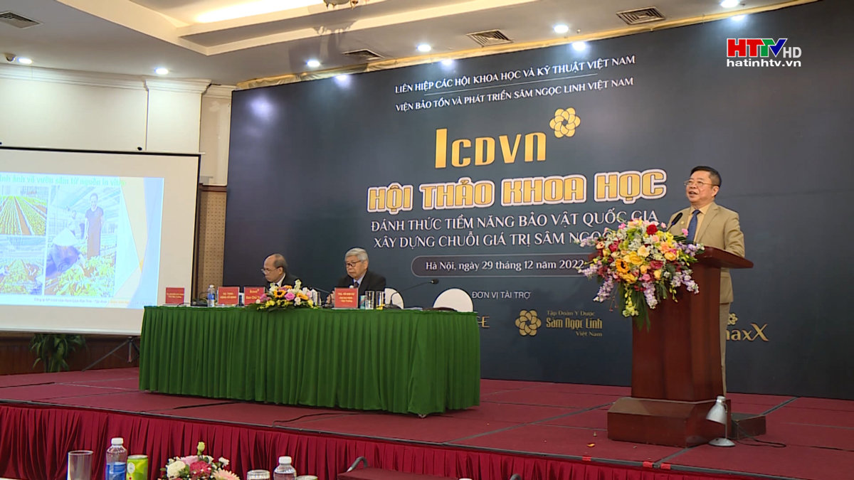 Xây dựng chuỗi giá trị sâm Ngọc Linh