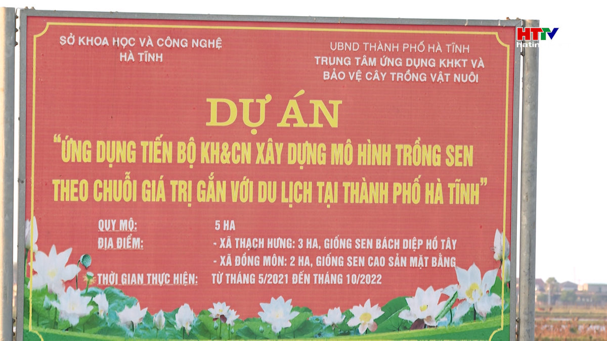 Tạo lập sản phẩm đặc trưng Thành Sen