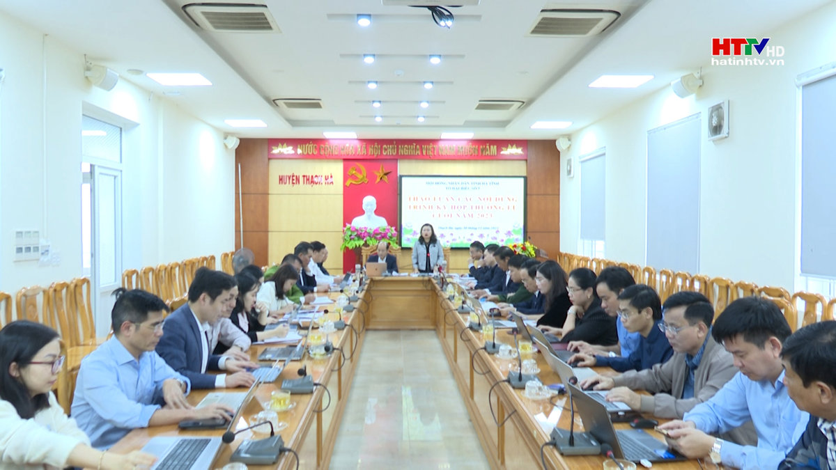 Trưởng Ban Tổ chức Tỉnh ủy dự sinh hoạt tổ Đại biểu số 5 HĐND tỉnh